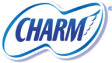 upload_storage/1709375726_Charm.png